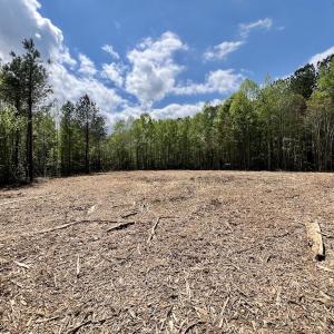 Photo #5 of Off Red Road, Nashville, NC 29.5 acres