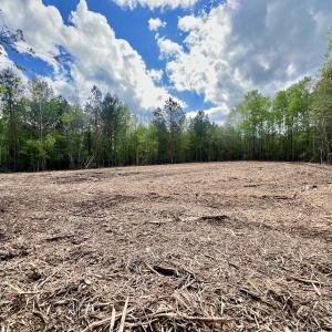 Photo #6 of Off Red Road, Nashville, NC 29.5 acres