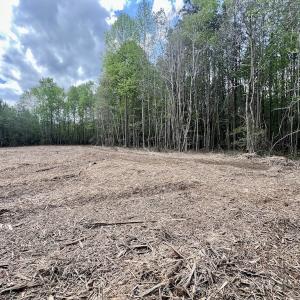 Photo #7 of Off Red Road, Nashville, NC 29.5 acres