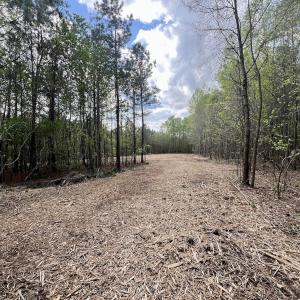 Photo #8 of Off Red Road, Nashville, NC 29.5 acres