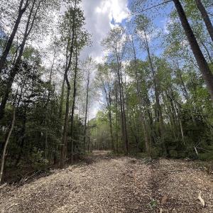 Photo #9 of Off Red Road, Nashville, NC 29.5 acres