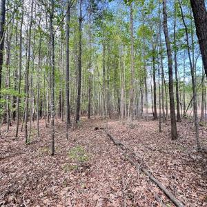Photo #24 of Off Red Road, Nashville, NC 29.5 acres