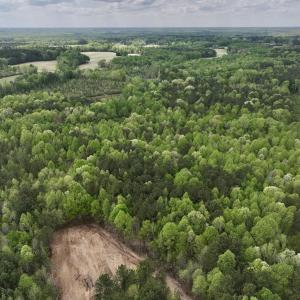 Photo #27 of Off Red Road, Nashville, NC 29.5 acres