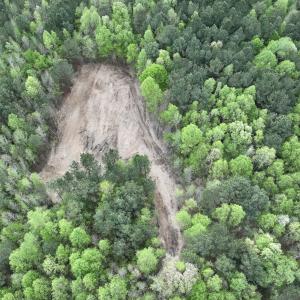 Photo #28 of Off Red Road, Nashville, NC 29.5 acres