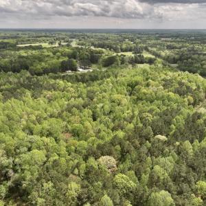 Photo #32 of Off Red Road, Nashville, NC 29.5 acres