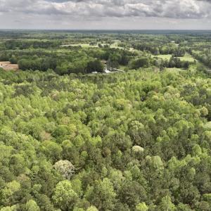 Photo #33 of Off Red Road, Nashville, NC 29.5 acres