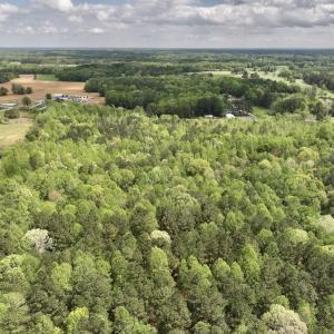Photo #34 of Off Red Road, Nashville, NC 29.5 acres