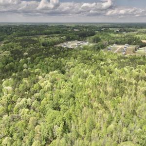 Photo #41 of Off Red Road, Nashville, NC 29.5 acres