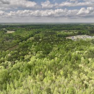 Photo #42 of Off Red Road, Nashville, NC 29.5 acres