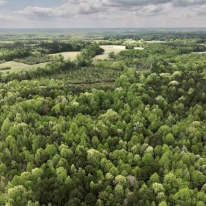 Photo #43 of Off Red Road, Nashville, NC 29.5 acres