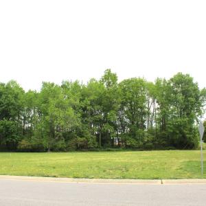 Photo #12 of 5804 Nobleman Ct, Elm City, NC 0.9 acres