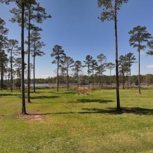 Photo #13 of Off Bailey Pointe Dr, Lot 82, Belhaven, NC 1.9 acres