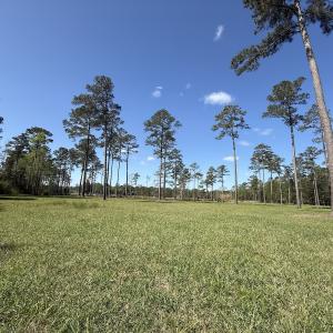 Photo #14 of Off Bailey Pointe Dr, Lot 82, Belhaven, NC 1.9 acres
