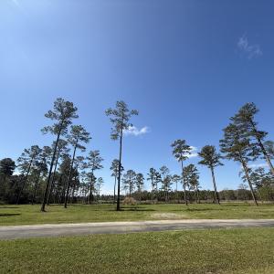Photo #15 of Off Bailey Pointe Dr, Lot 82, Belhaven, NC 1.9 acres