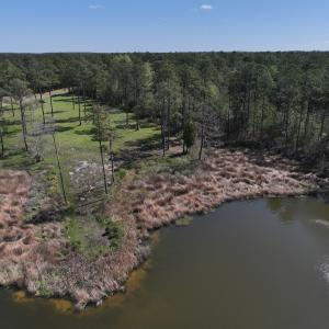 Photo #4 of Off Bailey Pointe Dr, Lot 82, Belhaven, NC 1.9 acres