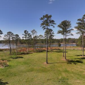 Photo #8 of Off Bailey Pointe Dr, Lot 82, Belhaven, NC 1.9 acres