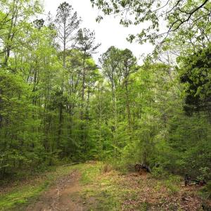 Photo #10 of Off Stoneridge Drive, Lot 5, Stem, NC 23.9 acres