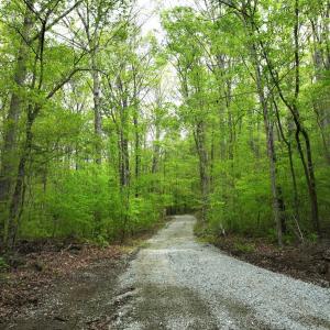 Photo #11 of Off Stoneridge Drive, Lot 5, Stem, NC 23.9 acres