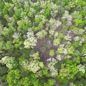 Photo #13 of Off Stoneridge Drive, Lot 5, Stem, NC 23.9 acres