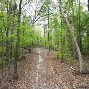 Photo #14 of Off Stoneridge Drive, Lot 5, Stem, NC 23.9 acres