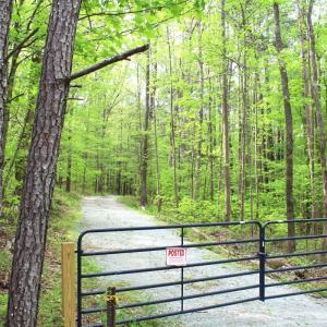 Photo #16 of Off Stoneridge Drive, Lot 5, Stem, NC 23.9 acres