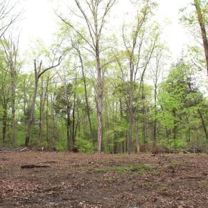 Photo #20 of Off Stoneridge Drive, Lot 5, Stem, NC 23.9 acres