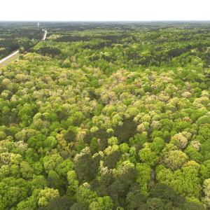 Photo #5 of Off Stoneridge Drive, Lot 5, Stem, NC 23.9 acres