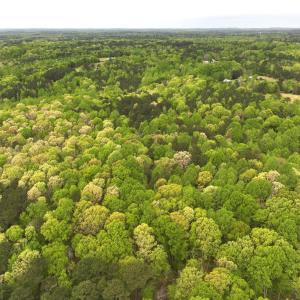 Photo #6 of Off Stoneridge Drive, Lot 5, Stem, NC 23.9 acres