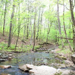 Photo #21 of Off Stoneridge Drive, Lot 5, Stem, NC 23.9 acres