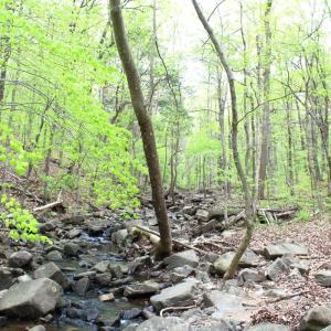 Photo #22 of Off Stoneridge Drive, Lot 5, Stem, NC 23.9 acres