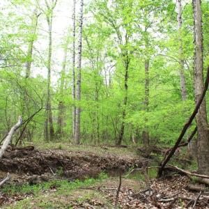 Photo #23 of Off Stoneridge Drive, Lot 5, Stem, NC 23.9 acres