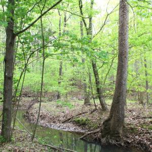 Photo #24 of Off Stoneridge Drive, Lot 5, Stem, NC 23.9 acres