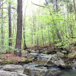 Photo #27 of Off Stoneridge Drive, Lot 5, Stem, NC 23.9 acres
