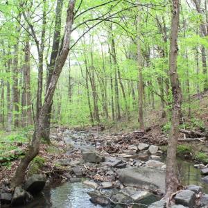 Photo #28 of Off Stoneridge Drive, Lot 5, Stem, NC 23.9 acres