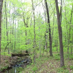Photo #30 of Off Stoneridge Drive, Lot 5, Stem, NC 23.9 acres