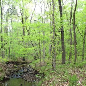 Photo #31 of Off Stoneridge Drive, Lot 5, Stem, NC 23.9 acres
