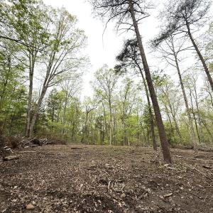 Photo #32 of Off Stoneridge Drive, Lot 5, Stem, NC 23.9 acres