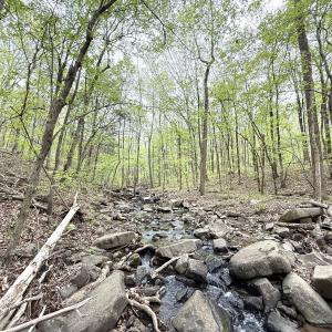 Photo #35 of Off Stoneridge Drive, Lot 5, Stem, NC 23.9 acres