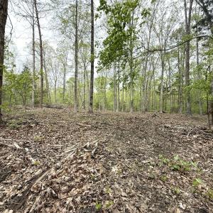 Photo #36 of Off Stoneridge Drive, Lot 5, Stem, NC 23.9 acres