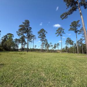 Photo #14 of Off Bailey Pointe Drive, Lot 83, Belhaven, NC 1.8 acres