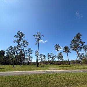 Photo #15 of Off Bailey Pointe Drive, Lot 83, Belhaven, NC 1.8 acres