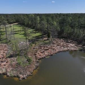 Photo #4 of Off Bailey Pointe Drive, Lot 83, Belhaven, NC 1.8 acres