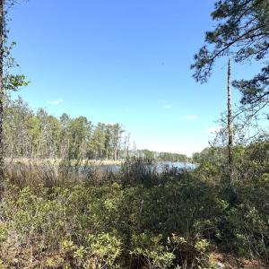Photo #17 of Off Davis Lane, Lot 18, Belhaven, NC 3.0 acres
