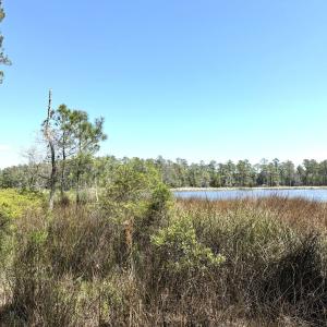 Photo #18 of Off Davis Lane, Lot 18, Belhaven, NC 3.0 acres