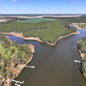 Photo #5 of Off Davis Lane, Lot 18, Belhaven, NC 3.0 acres