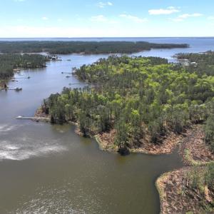 Photo #9 of Off Davis Lane, Lot 18, Belhaven, NC 3.0 acres