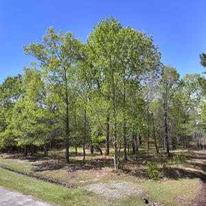Photo #10 of Off Sunset Point Rd Lot 48, Belhaven, NC 1.7 acres