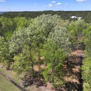 Photo #11 of Off Sunset Point Rd Lot 48, Belhaven, NC 1.7 acres