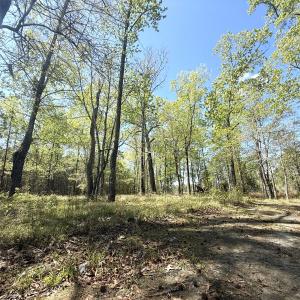Photo #15 of Off Mixon Creek Rd Lot 5, Belhaven, NC 1.9 acres