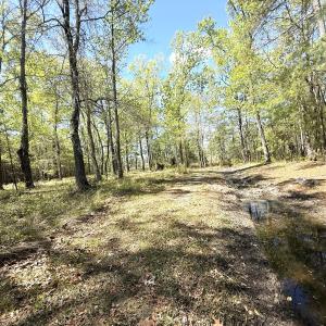 Photo #16 of Off Mixon Creek Rd Lot 5, Belhaven, NC 1.9 acres